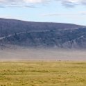 TZA ARU Ngorongoro 2016DEC26 Crater 018 : 2016, 2016 - African Adventures, Africa, Arusha, Crater, Date, December, Eastern, Mandusi Hippo Pool, Month, Ngorongoro, Places, Tanzania, Trips, Year